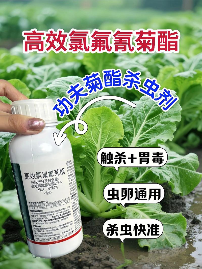 邵阳代生中心:农药对供卵代生妈妈的危害